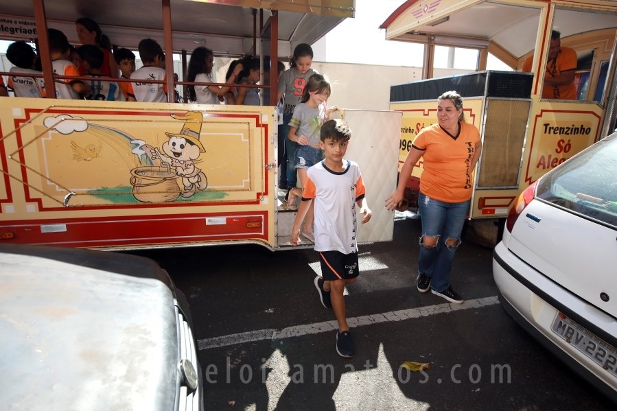 ANIVERSÁRIO DE HENRIQUE RODRIGUES TINTI – 9 ANOS - Eloisa Mattos