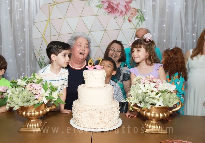 FESTA DE ANIVERSÁRIO, DE FÁTIMA QUINTILIANOS – 67 ANOS - Eloisa Mattos