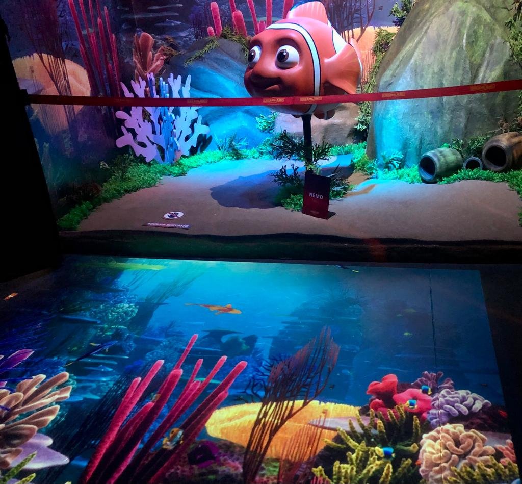 PISO INTERATIVO E DESCONTO PARA MORADORES DA REGIÃO NOS APRQUES DO GRUPO DREAMS EM OLÍMPIA