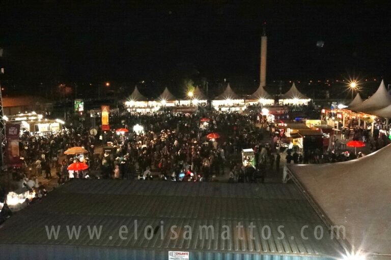 resized_ELO_6595