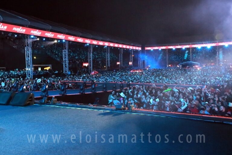 resized_ELO_6708