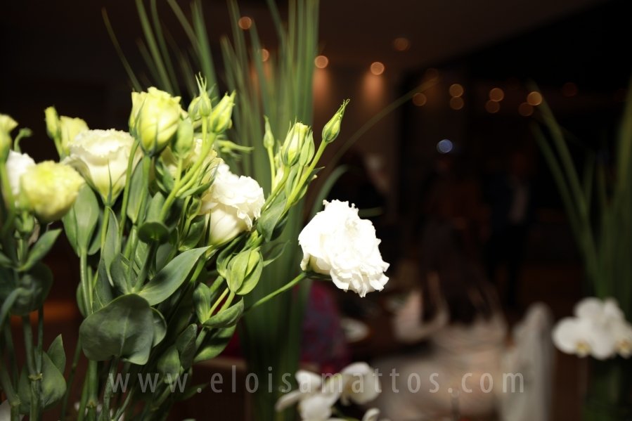 FORMATURA E NOIVADO DE DRA. ANA BEATRIZ MUNHOZ CARDOSO COM DR. VINÍCIUS BARUFFI DE CASTRO - Eloisa Mattos