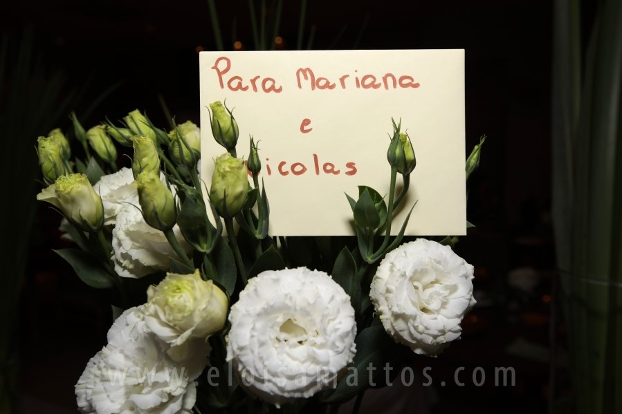 FORMATURA E NOIVADO DE DRA. ANA BEATRIZ MUNHOZ CARDOSO COM DR. VINÍCIUS BARUFFI DE CASTRO - Eloisa Mattos