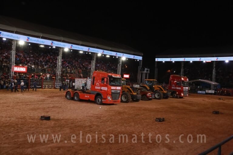 resized_country bulls dia 15 (70)