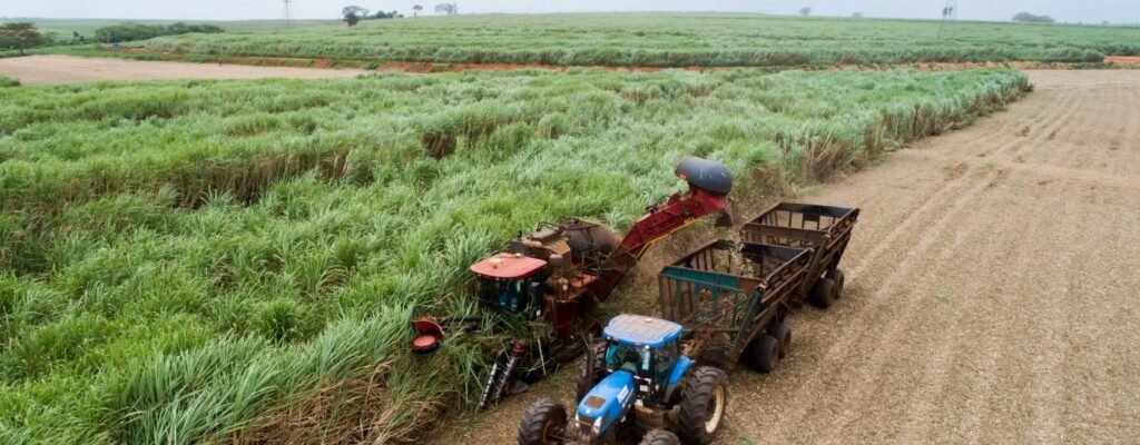 Tereos Atinge Mais de 60% de Cana Processada Certificada