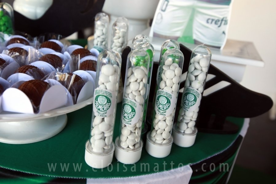 ANIVERSÁRIO DE 8 ANOS DE JOÃO LUCAS – TEMA PALMEIRAS - Eloisa Mattos