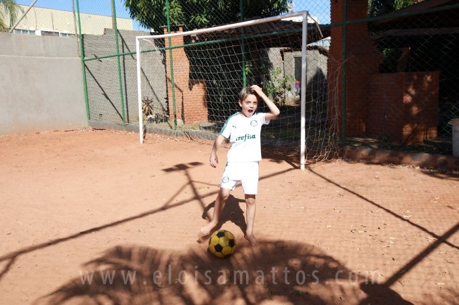 ANIVERSÁRIO DE 8 ANOS DE JOÃO LUCAS – TEMA PALMEIRAS - Eloisa Mattos
