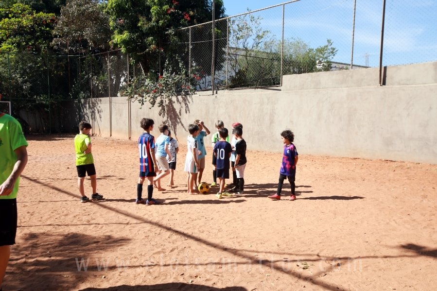 ANIVERSÁRIO DE 8 ANOS DE JOÃO LUCAS – TEMA PALMEIRAS - Eloisa Mattos