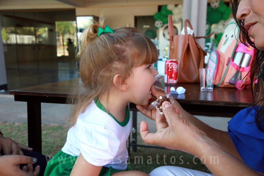 ANIVERSÁRIO DE 8 ANOS DE JOÃO LUCAS – TEMA PALMEIRAS - Eloisa Mattos