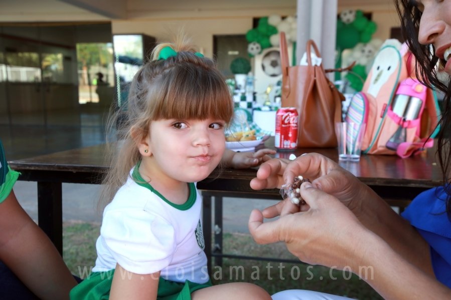 ANIVERSÁRIO DE 8 ANOS DE JOÃO LUCAS – TEMA PALMEIRAS - Eloisa Mattos