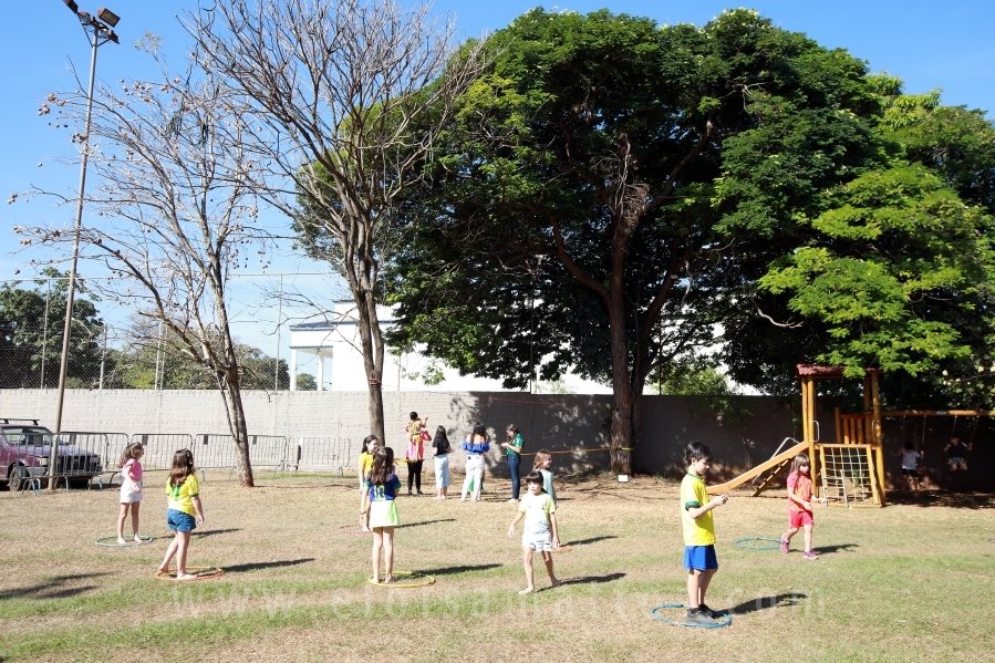 ANIVERSÁRIO DE 8 ANOS DE JOÃO LUCAS – TEMA PALMEIRAS - Eloisa Mattos