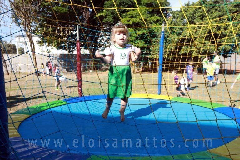 resized_ELO_9033