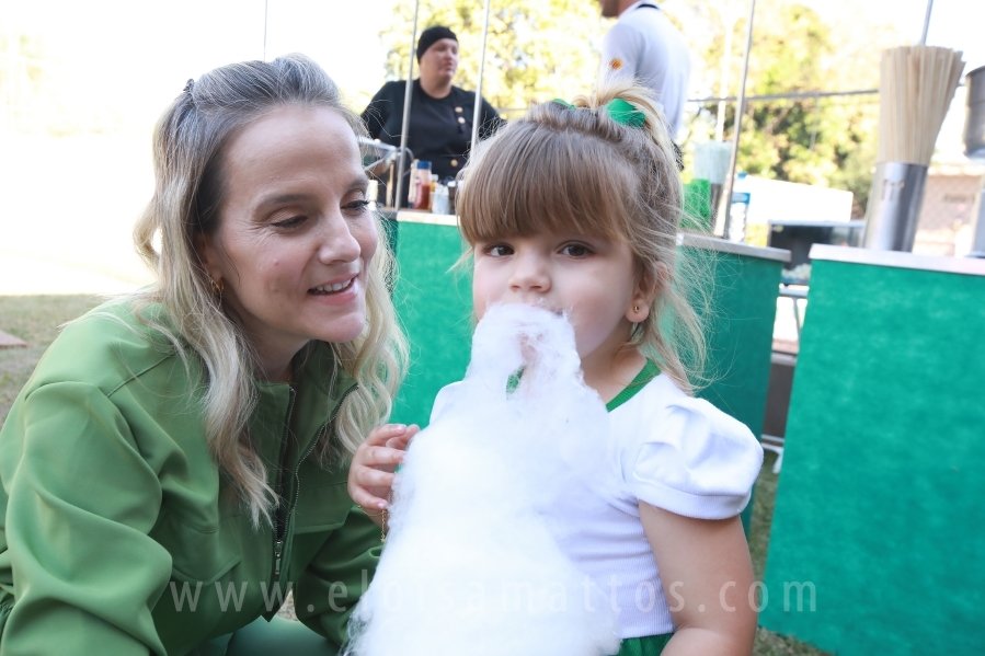 ANIVERSÁRIO DE 8 ANOS DE JOÃO LUCAS – TEMA PALMEIRAS - Eloisa Mattos