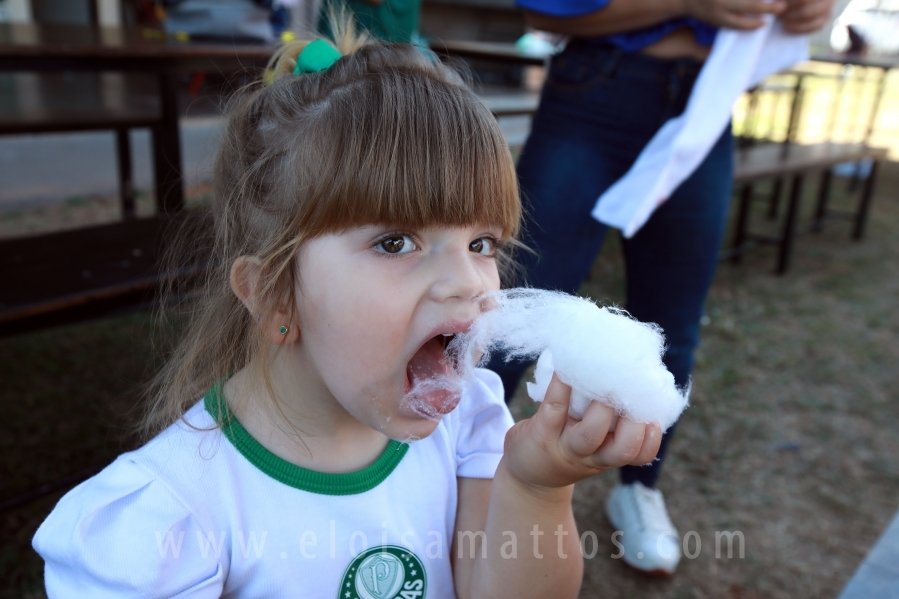 ANIVERSÁRIO DE 8 ANOS DE JOÃO LUCAS – TEMA PALMEIRAS - Eloisa Mattos