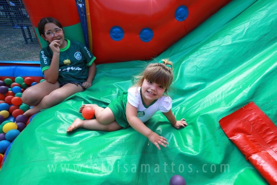 ANIVERSÁRIO DE 8 ANOS DE JOÃO LUCAS – TEMA PALMEIRAS - Eloisa Mattos
