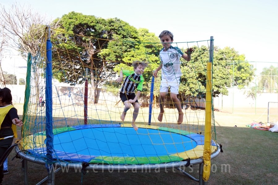 ANIVERSÁRIO DE 8 ANOS DE JOÃO LUCAS – TEMA PALMEIRAS - Eloisa Mattos
