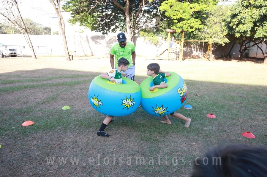ANIVERSÁRIO DE 8 ANOS DE JOÃO LUCAS – TEMA PALMEIRAS - Eloisa Mattos