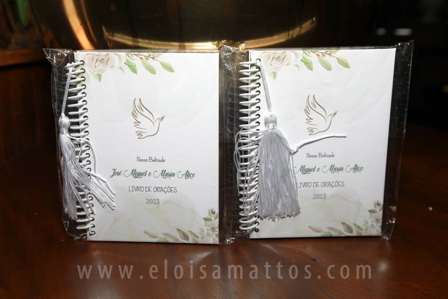 BATIZADO DOS GÊMEOS: JOSÉ MIGUEL E MARIA ALICE, COMEMORAÇÃO EM DOSE DUPLA. - Eloisa Mattos