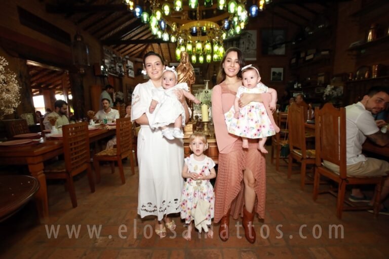 resized_ELO_2861