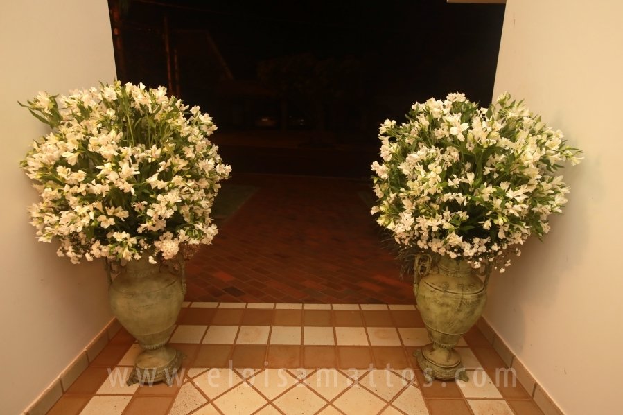CASAMENTO CIVIL DE LEONARDO LANIA M. PEREIRA E BEATRIZ CORREIA TORRES - Eloisa Mattos