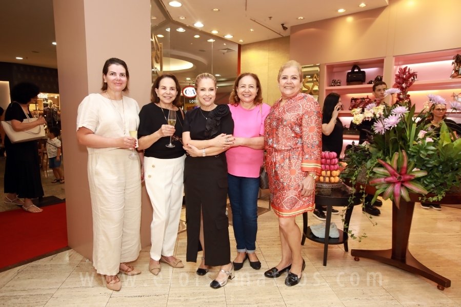 LESSÔ CALÇADOS – 40 ANOS DE SUCESSO – RIOPRETO SHOPPING - Eloisa Mattos