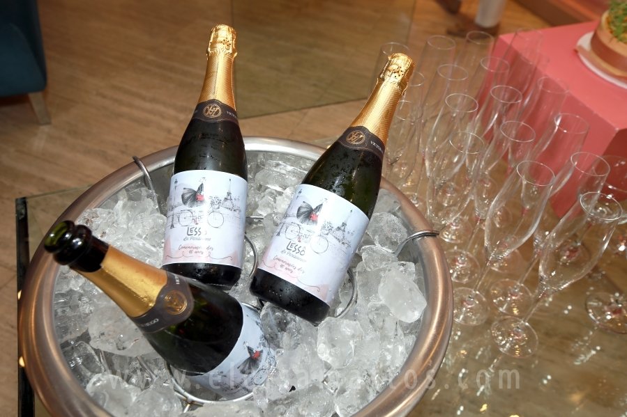 LESSÔ CALÇADOS – 40 ANOS DE SUCESSO – RIOPRETO SHOPPING - Eloisa Mattos