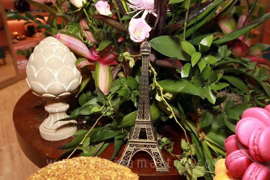 LESSÔ CALÇADOS – 40 ANOS DE SUCESSO – RIOPRETO SHOPPING - Eloisa Mattos