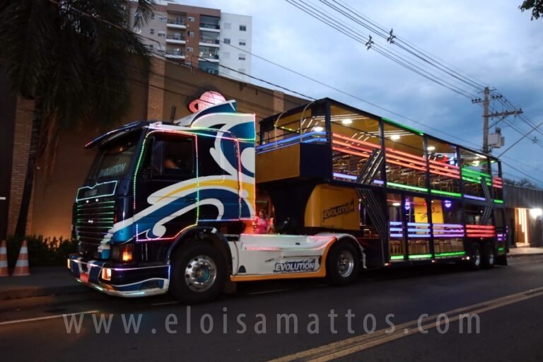 ELOMATTOS (18)