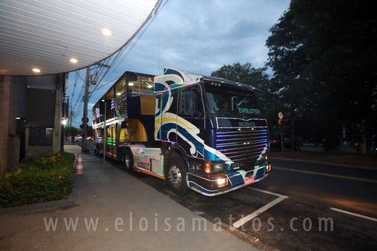 ELOMATTOS (2)