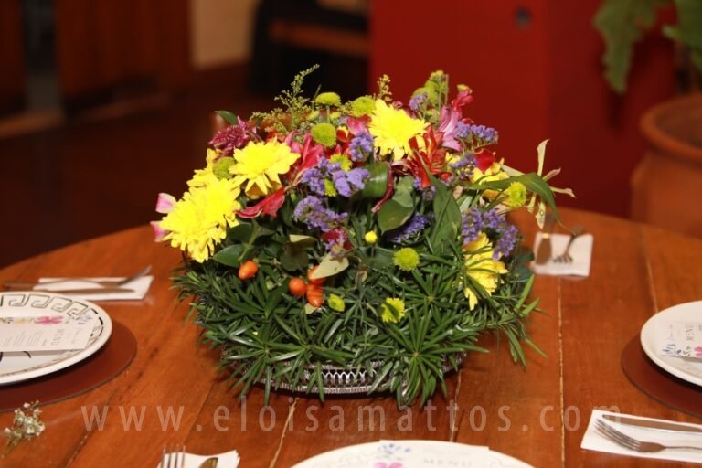 resized_ELOMATTOS – M&A (68)