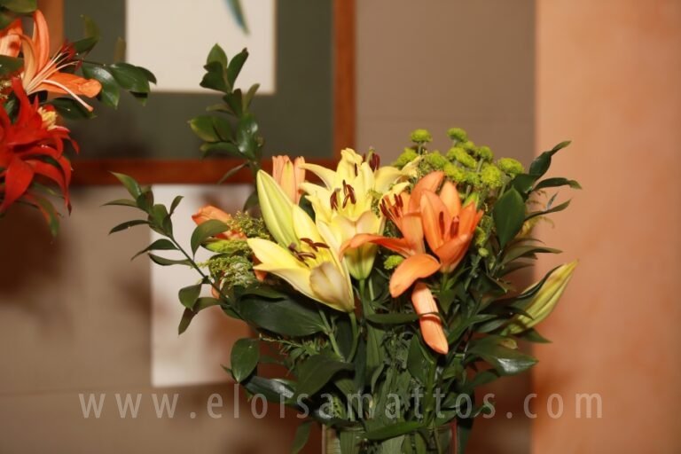 resized_ELOMATTOS – M&A (71)