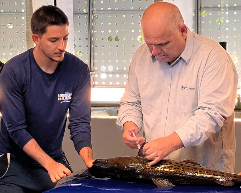 Empresa Reproduz em Laboratório Gigante dos Rios Brasileiros
