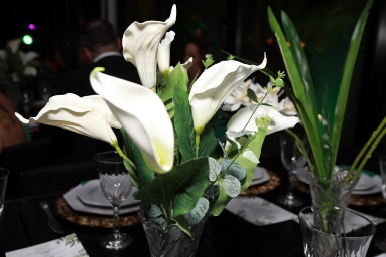 resized_BODAS 40-ELOMATTOS (30)