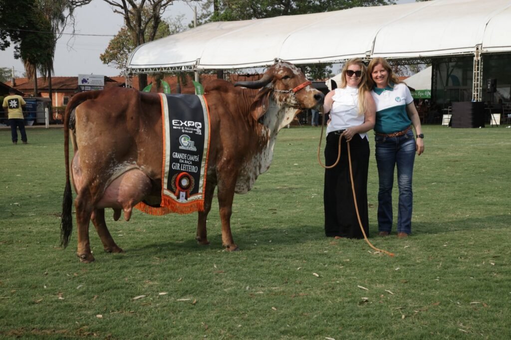 Vaca Avaliada em Mais de R$ 1 Milhão na Expo Rio Preto Sicredi é a Grande Campeã da 24ª Exposição Nacional do Gir Leiteiro Expogil 2024