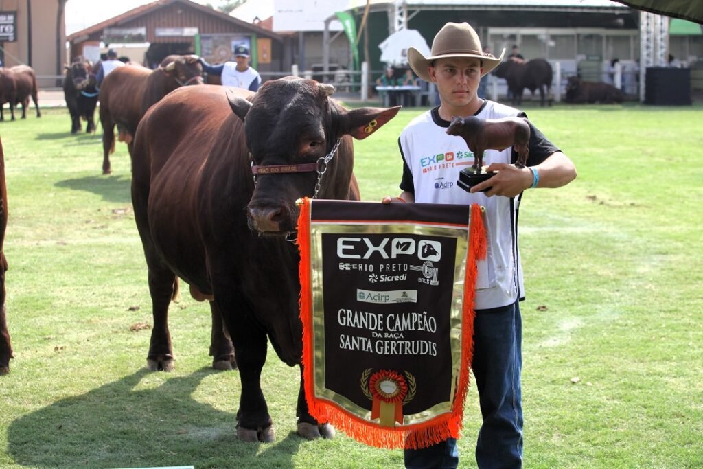 Participação de Gado de Corte na Etapa Leite da Expo Rio Preto Sicredi Reflete o Crescimento da Feira