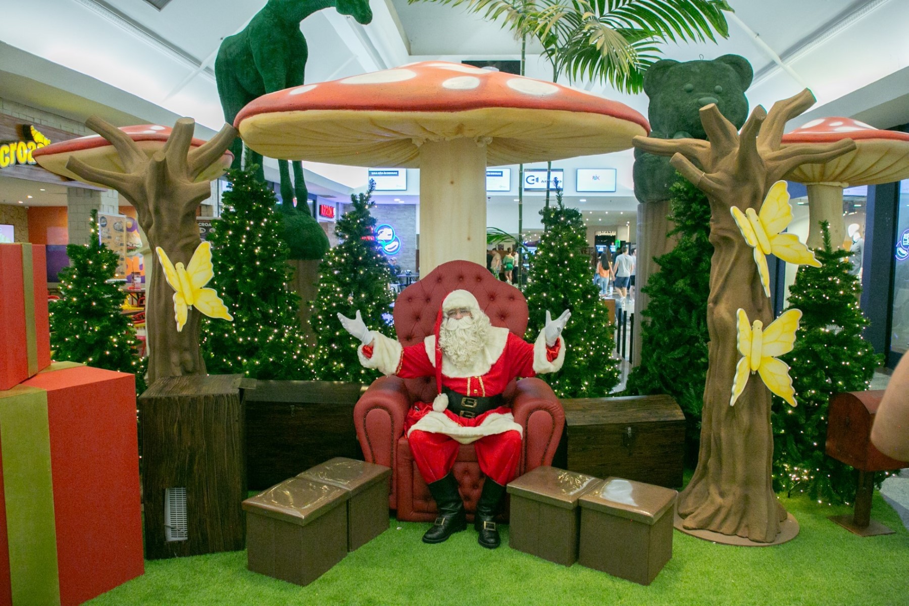 NATAL 2024 NO RIOPRETO SHOPPING: “O BOSQUE DO NOEL” PROMETE MAGIA E ENCANTAMENTO PARA TODA A FAMÍLIA