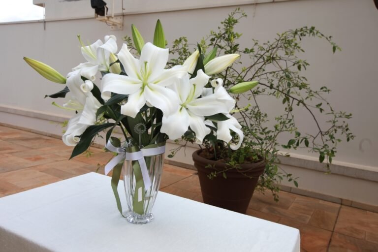resized_BODAS T&E (8)