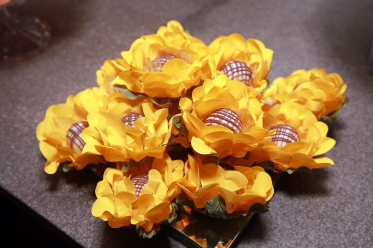 resized_ELOMATTOS (23)