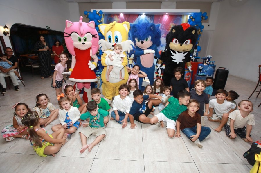 ANIVERSÁRIO DE 5 ANOS DE GABRIEL BARCO SIQUEIRA – TEMA: SONIC E SEUS AMIGOS - Eloisa Mattos