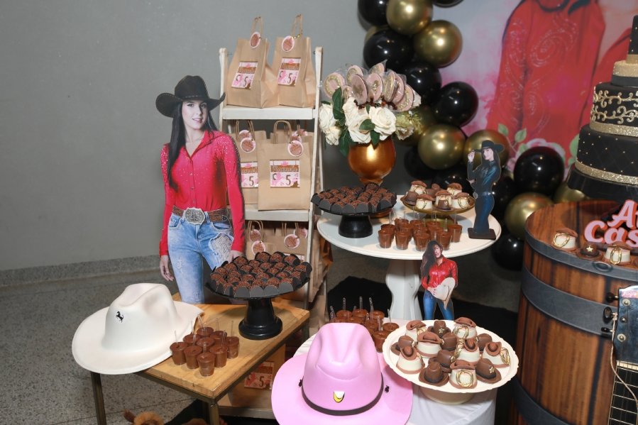 ANIVERSÁRIO DE MANUELLA CALDAS F. VIEIRA, 5 ANOS – TEMA: “ANA CASTELA” - Eloisa Mattos