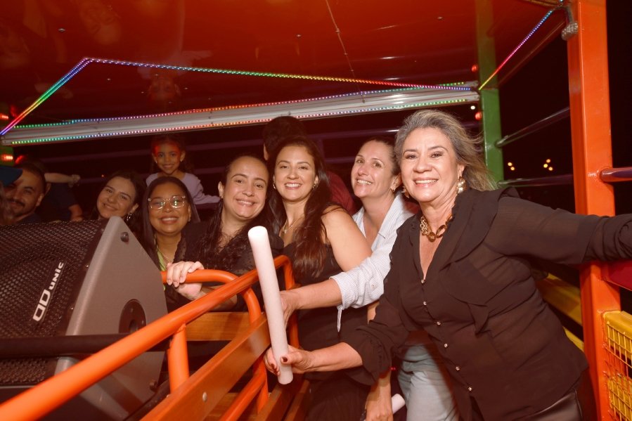 ANIVERSÁRIO DE MANUELLA CALDAS F. VIEIRA, 5 ANOS – TEMA: “ANA CASTELA” - Eloisa Mattos