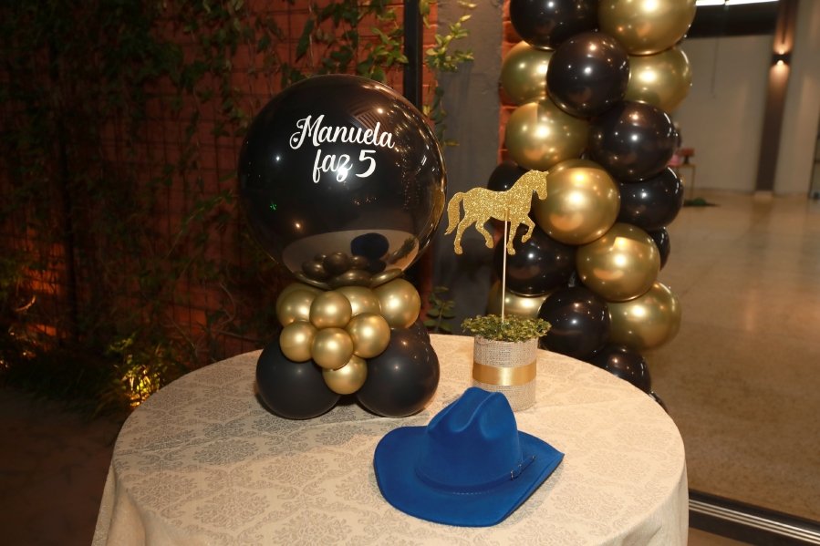 ANIVERSÁRIO DE MANUELLA CALDAS F. VIEIRA, 5 ANOS – TEMA: “ANA CASTELA” - Eloisa Mattos