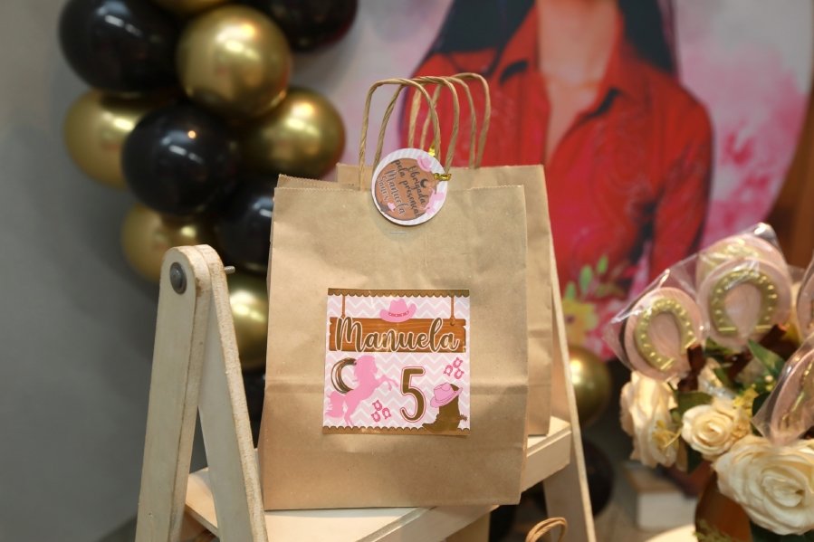 ANIVERSÁRIO DE MANUELLA CALDAS F. VIEIRA, 5 ANOS – TEMA: “ANA CASTELA” - Eloisa Mattos