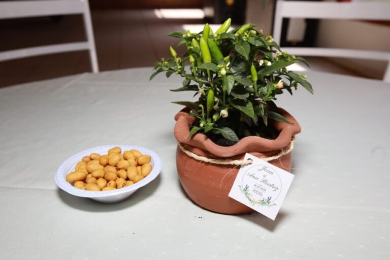 resized_ELOMATTOS (17)