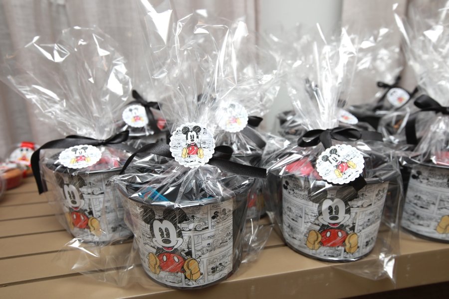 ANIVERSÁRIO DE 2 ANOS DO PEDRO – “REINO ENCANTADO DO MICKEY E MINNIE” - Eloisa Mattos