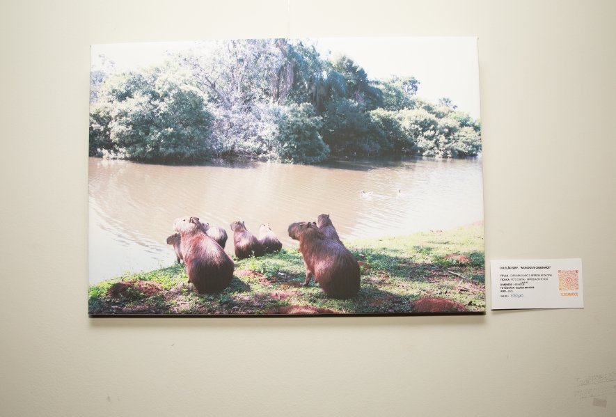 COQUETEL DE ABERTURA DA VERNISSAGE “MUNDOS E CAMINHOS” OLHAR QUE ATRAVESSA FRONTEIRAS – BILD CONSTRUTORA - Eloisa Mattos