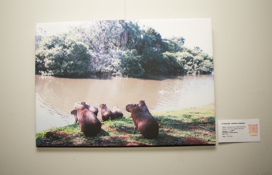 COQUETEL DE ABERTURA DA VERNISSAGE “MUNDOS E CAMINHOS” OLHAR QUE ATRAVESSA FRONTEIRAS – BILD CONSTRUTORA - Eloisa Mattos