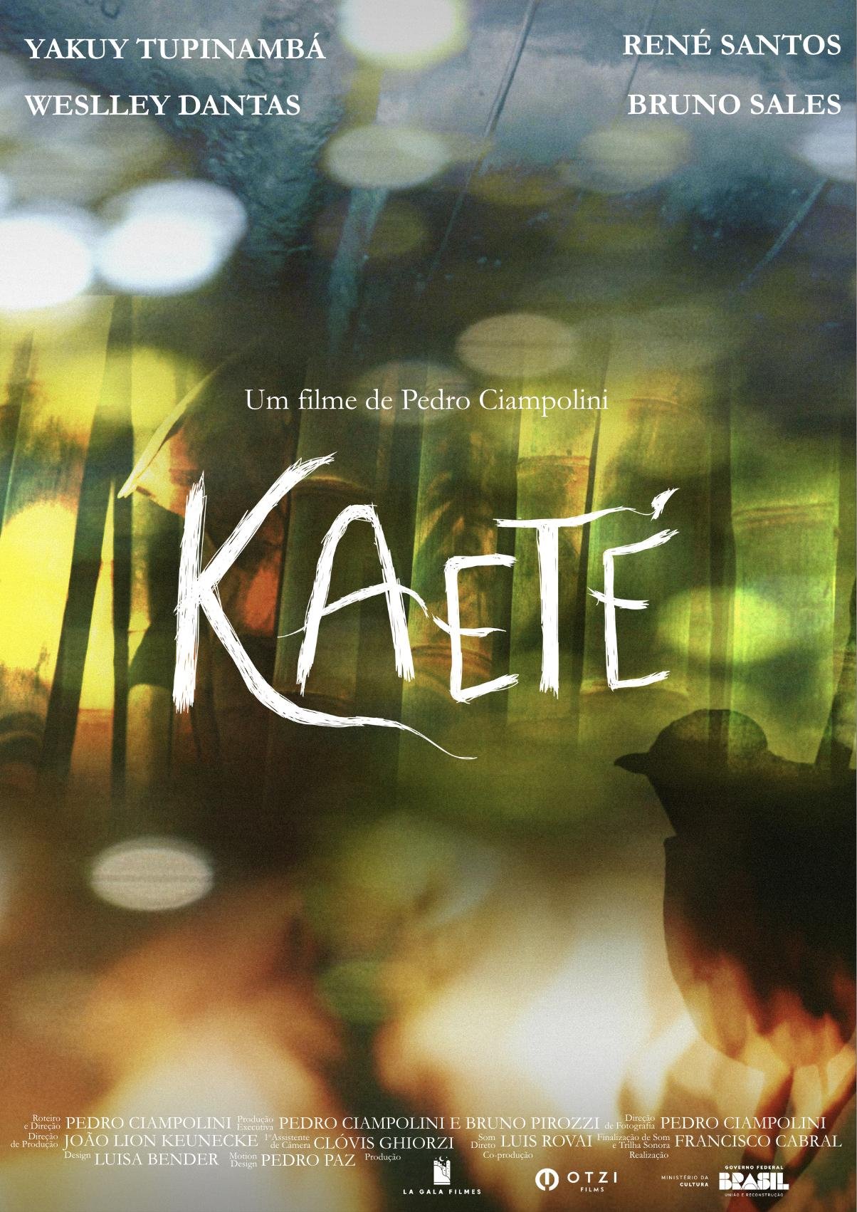 SESSÃO DE 22 DE OUTUBRO DO ECOCINE – FESTIVAL INTERNACIONAL DE CINEMA AMBIENTAL E DIREITOS HUMANOS, APRESENTARÁ O DOCUMENTÁRIO “KAETÉ”