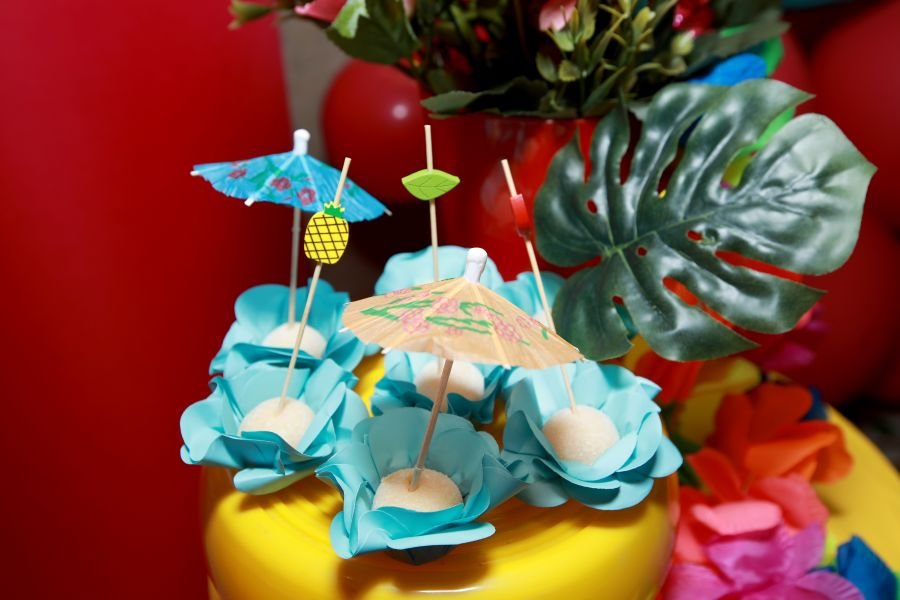 COMEMORAÇÃO DOS 20 ANOS DO “MUNDO DA FESTA” - Eloisa Mattos