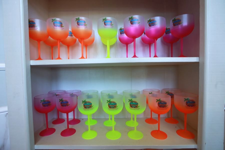 COMEMORAÇÃO DOS 20 ANOS DO “MUNDO DA FESTA” - Eloisa Mattos